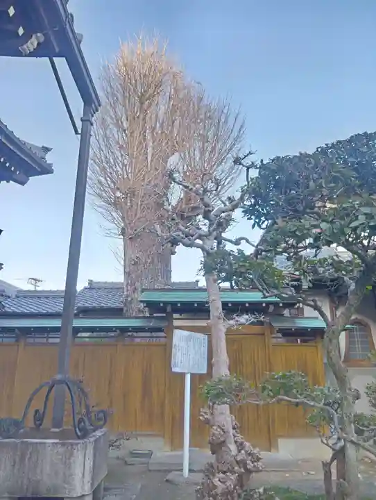 盛泉寺(岐阜県)