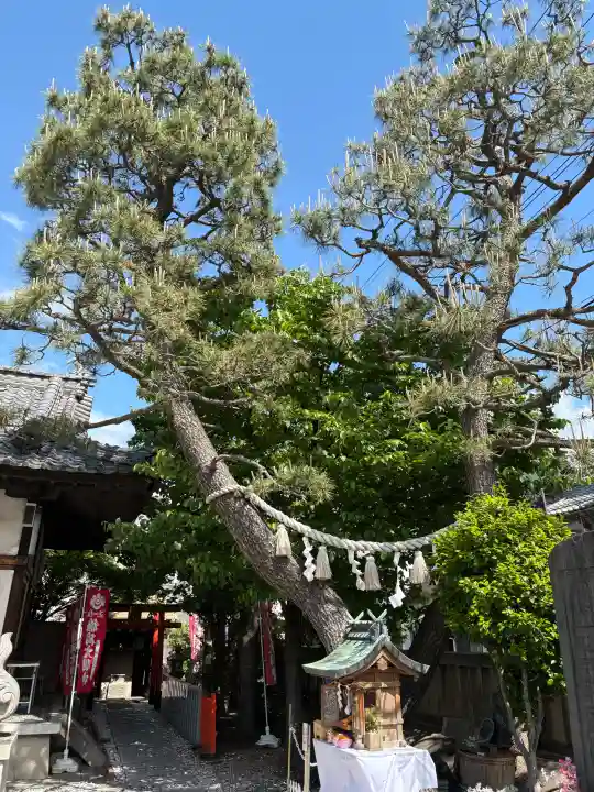 塚本神社の{uncategorized: "未分類", other: "その他", undefined: "問題あり", building: "その他建物", grave: "お墓", sacred_gate: "鳥居", guardian: "狛犬", statue: "像", buddha: "仏像", history: "歴史", nature: "自然", garden: "庭園", animal: "動物", pagoda: "塔", temizu: "手水舎", mountain_gate: "山門・神門", sanctuary: "本殿・本堂", subordinate: "末社・摂社", art: "芸術", scenery: "景色", jizo: "地蔵", ema: "絵馬", goshuin: "御朱印", omikuji: "おみくじ", items: "授与品その他", amulet: "お守り", goshuincho: "御朱印帳", eats: "食事", festival: "お祭り", votive_dance: "神楽", shichigosan: "七五三参", wedding: "結婚式", experience: "体験その他", initially: "初詣", around: "周辺", anti_infection: "感染症対策"}