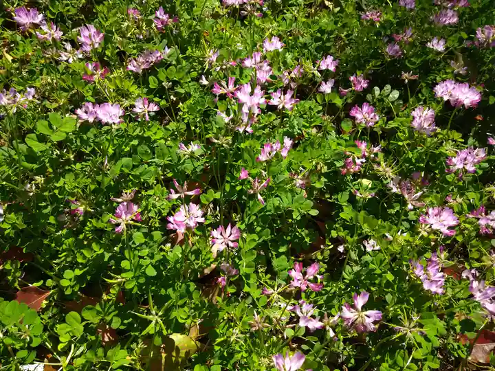 上一宮大粟神社の自然