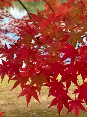 毛越寺(岩手県)
