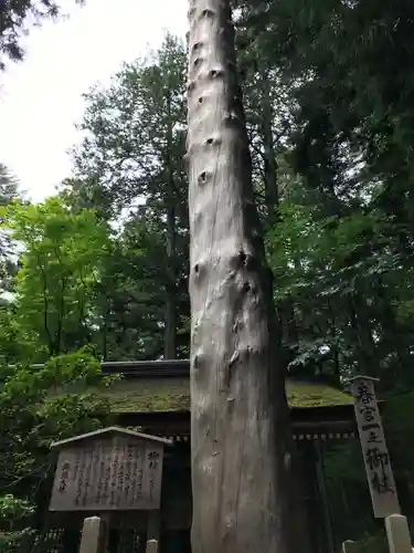 諏訪大社下社春宮(長野県)