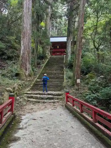 鳳来山東照宮(愛知県)