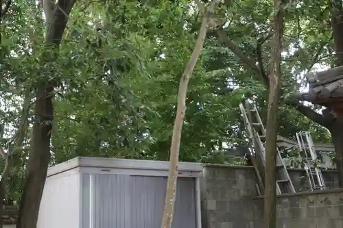 鏡作神社(奈良県)