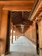 橿原神宮(奈良県)