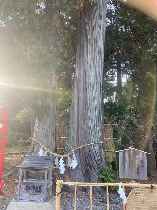 矢奈比賣神社(見付天神)(静岡県)