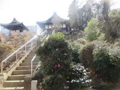 妙典寺(埼玉県)