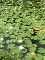 丹生大師 神宮寺の自然