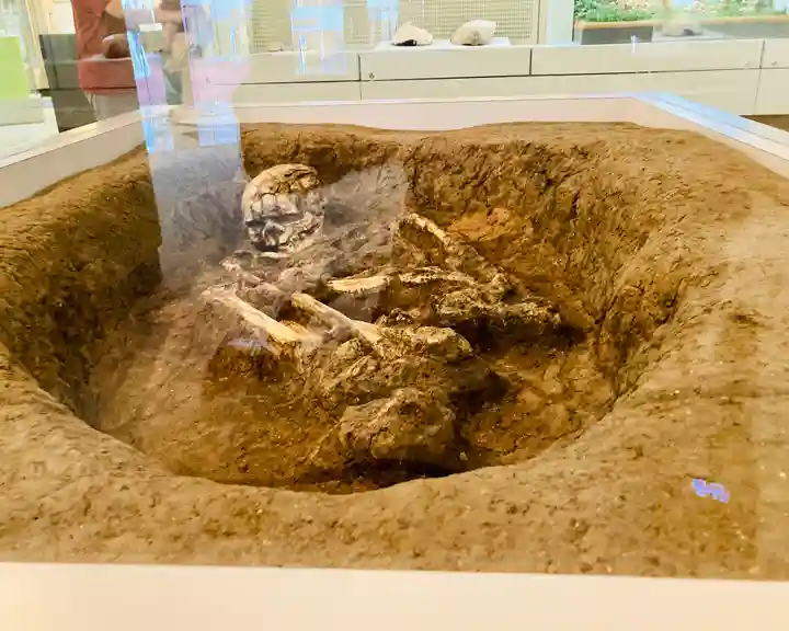 仁和寺のその他建物