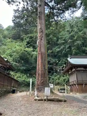 樺崎八幡宮(栃木県)