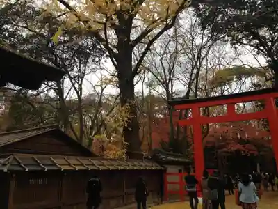 賀茂御祖神社（下鴨神社）のその他建物