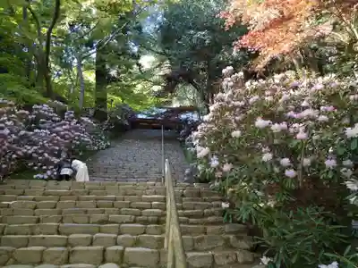 室生寺(奈良県)