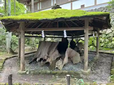 大神神社(奈良県)