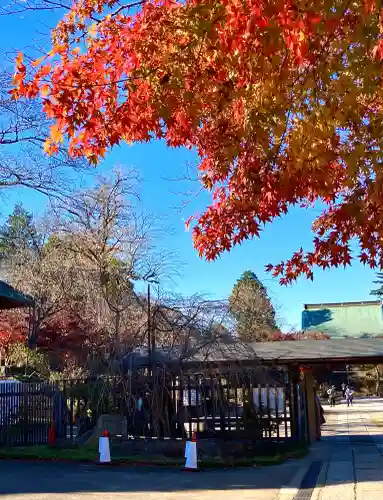 本土寺(千葉県)