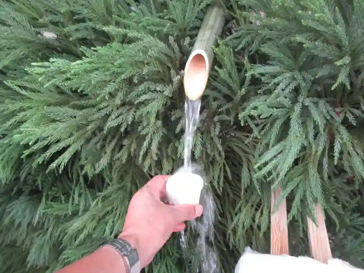 賀茂御祖神社(下鴨神社)(京都府)