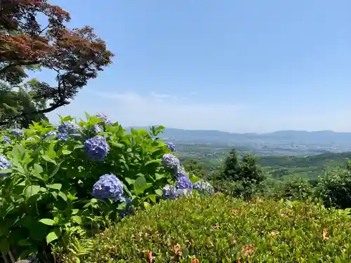 善峯寺(京都府)