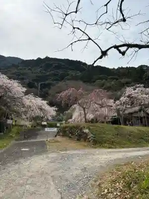 南明寺の{uncategorized: "未分類", other: "その他", undefined: "問題あり", building: "その他建物", grave: "お墓", sacred_gate: "鳥居", guardian: "狛犬", statue: "像", buddha: "仏像", history: "歴史", nature: "自然", garden: "庭園", animal: "動物", pagoda: "塔", temizu: "手水舎", mountain_gate: "山門・神門", sanctuary: "本殿・本堂", subordinate: "末社・摂社", art: "芸術", scenery: "景色", jizo: "地蔵", ema: "絵馬", goshuin: "御朱印", omikuji: "おみくじ", items: "授与品その他", amulet: "お守り", goshuincho: "御朱印帳", eats: "食事", festival: "お祭り", votive_dance: "神楽", shichigosan: "七五三参", wedding: "結婚式", experience: "体験その他", initially: "初詣", around: "周辺", anti_infection: "感染症対策"}