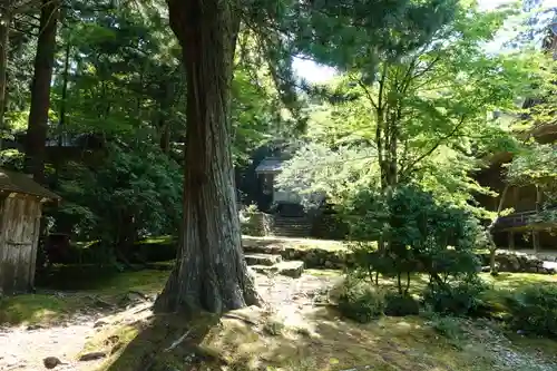 若狭神宮寺の自然