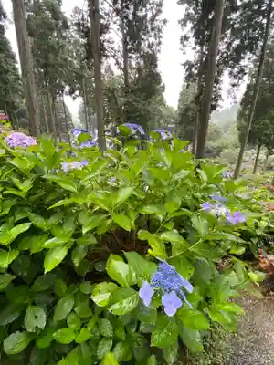 千光寺(福岡県)