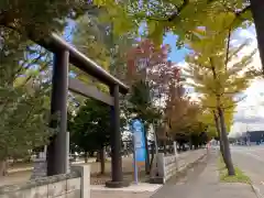 江南神社の鳥居