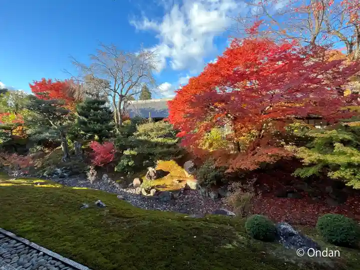 相国寺(相国承天禅寺)の自然