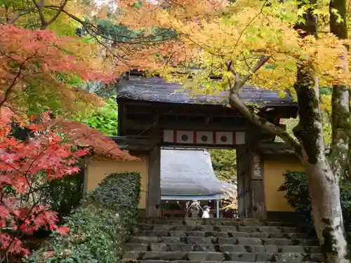 寂光院(京都府)