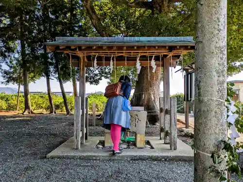 八柱神社の手水