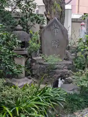 本法寺(東京都)