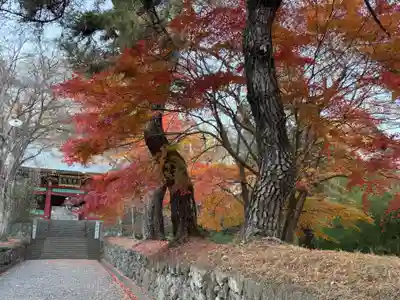 妙義神社(群馬県)