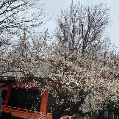 花園神社の{uncategorized: "未分類", other: "その他", undefined: "問題あり", building: "その他建物", grave: "お墓", sacred_gate: "鳥居", guardian: "狛犬", statue: "像", buddha: "仏像", history: "歴史", nature: "自然", garden: "庭園", animal: "動物", pagoda: "塔", temizu: "手水舎", mountain_gate: "山門・神門", sanctuary: "本殿・本堂", subordinate: "末社・摂社", art: "芸術", scenery: "景色", jizo: "地蔵", ema: "絵馬", goshuin: "御朱印", omikuji: "おみくじ", items: "授与品その他", amulet: "お守り", goshuincho: "御朱印帳", eats: "食事", festival: "お祭り", votive_dance: "神楽", shichigosan: "七五三参", wedding: "結婚式", experience: "体験その他", initially: "初詣", around: "周辺", anti_infection: "感染症対策"}