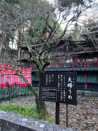 北口本宮冨士浅間神社の自然