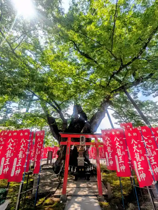 秩父今宮神社の{uncategorized: "未分類", other: "その他", undefined: "問題あり", building: "その他建物", grave: "お墓", sacred_gate: "鳥居", guardian: "狛犬", statue: "像", buddha: "仏像", history: "歴史", nature: "自然", garden: "庭園", animal: "動物", pagoda: "塔", temizu: "手水舎", mountain_gate: "山門・神門", sanctuary: "本殿・本堂", subordinate: "末社・摂社", art: "芸術", scenery: "景色", jizo: "地蔵", ema: "絵馬", goshuin: "御朱印", omikuji: "おみくじ", items: "授与品その他", amulet: "お守り", goshuincho: "御朱印帳", eats: "食事", festival: "お祭り", votive_dance: "神楽", shichigosan: "七五三参", wedding: "結婚式", experience: "体験その他", initially: "初詣", around: "周辺", anti_infection: "感染症対策"}