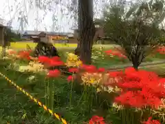 泊神社(兵庫県)