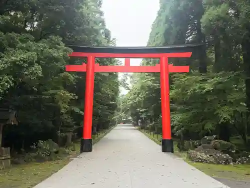 霧島神宮(鹿児島県)