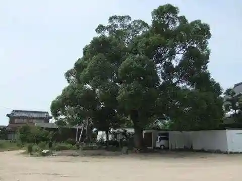 善照寺(山口県)