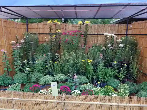 宗像大社(福岡県)