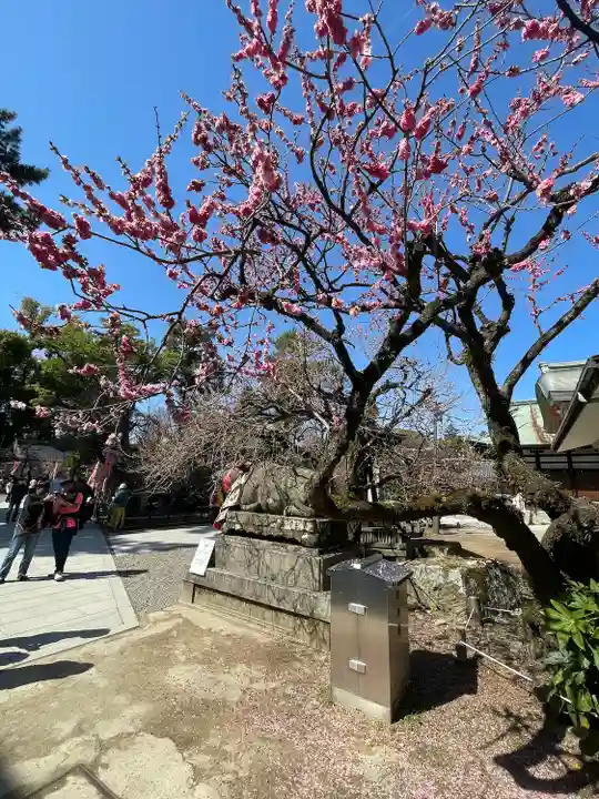 北野天満宮(京都府)