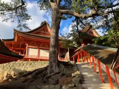 日御碕神社(島根県)