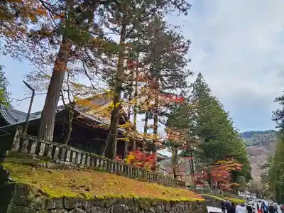 輪王寺(栃木県)