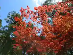 天台宗 五大山 白毫寺(兵庫県)