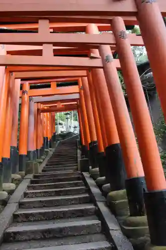 伏見稲荷大社の鳥居