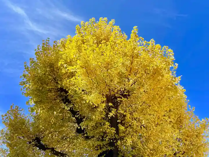 福王山 慈眼寺の自然