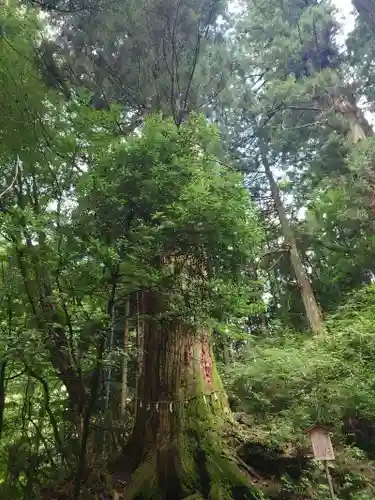 花園神社(茨城県)