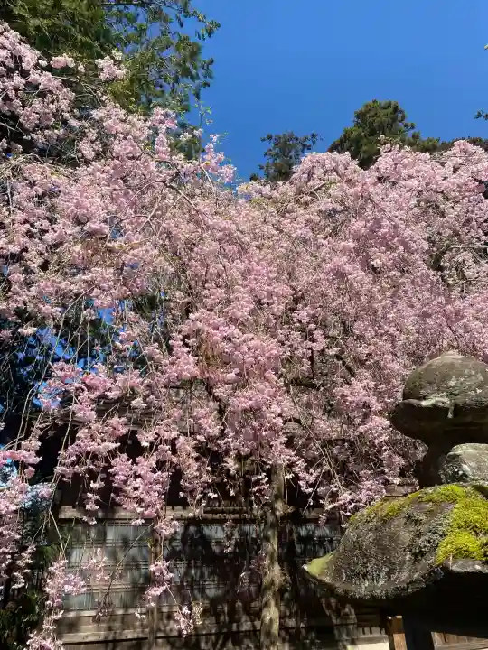 光丸山 法輪寺の{uncategorized: "未分類", other: "その他", undefined: "問題あり", building: "その他建物", grave: "お墓", sacred_gate: "鳥居", guardian: "狛犬", statue: "像", buddha: "仏像", history: "歴史", nature: "自然", garden: "庭園", animal: "動物", pagoda: "塔", temizu: "手水舎", mountain_gate: "山門・神門", sanctuary: "本殿・本堂", subordinate: "末社・摂社", art: "芸術", scenery: "景色", jizo: "地蔵", ema: "絵馬", goshuin: "御朱印", omikuji: "おみくじ", items: "授与品その他", amulet: "お守り", goshuincho: "御朱印帳", eats: "食事", festival: "お祭り", votive_dance: "神楽", shichigosan: "七五三参", wedding: "結婚式", experience: "体験その他", initially: "初詣", around: "周辺", anti_infection: "感染症対策"}