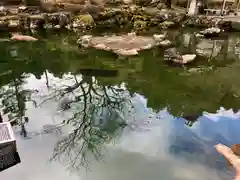 大虫神社(福井県)