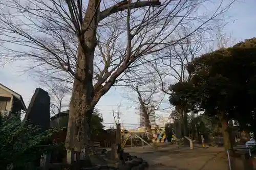 千形神社(埼玉県)