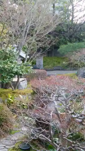 観智院（東寺子院）の自然