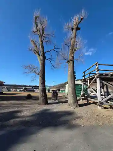 夫婦くぬぎ両神神社（椋神社）(埼玉県)
