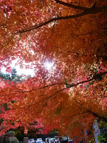 洞窟観音・徳明園・山徳記念館の景色