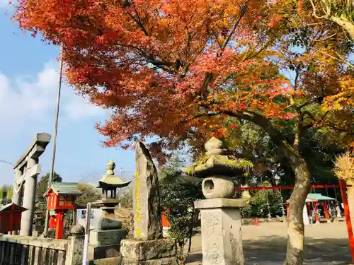 天之御中主神社の建物その他