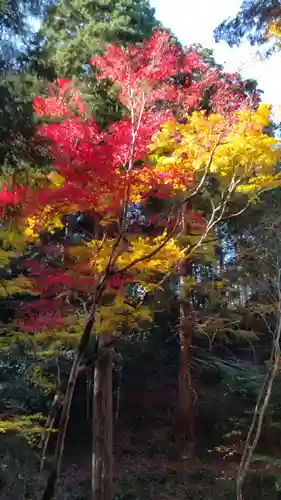 養父神社(兵庫県)